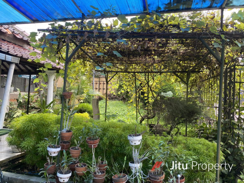 Di Jual Rumah Murah Posisi Dekat Kampus STKIP dan Pinggir Jalan