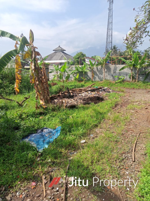 Dijual Tanah Bekas Kebun Produktif Bebas Longsor Bogor Jawa Barat