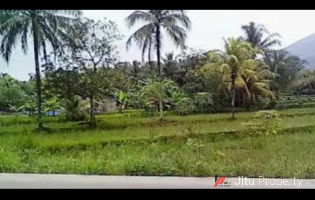 Dijual Tanah Premium Daerah Tanjung  Lesung - Banten