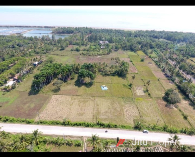 Dijual Tanah Premium Daerah Tanjung  Lesung - Banten