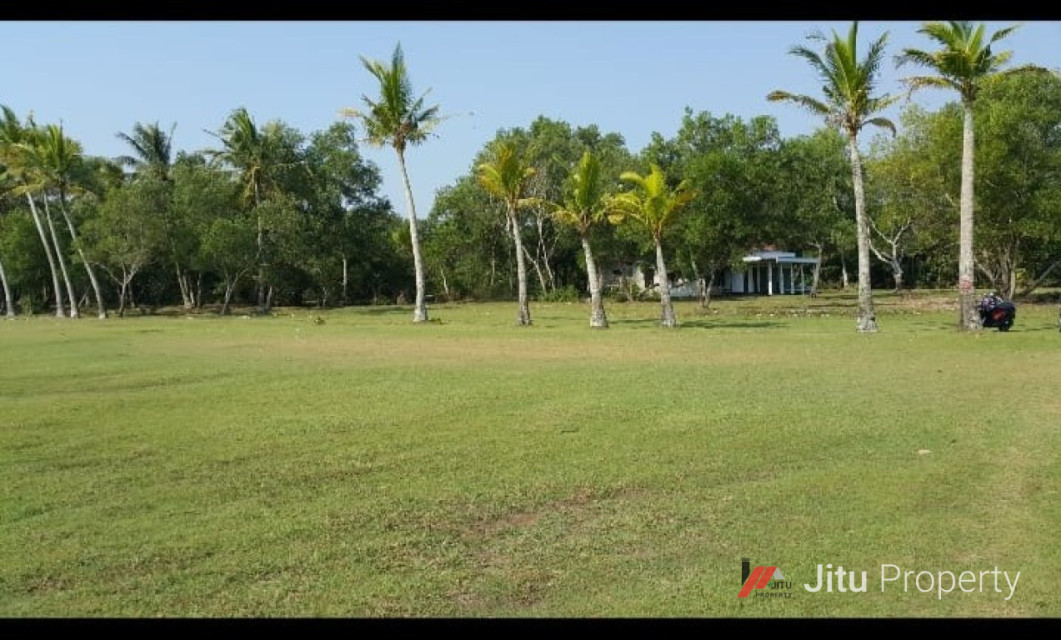 Dijual Tanah Premium Daerah Tanjung  Lesung - Banten