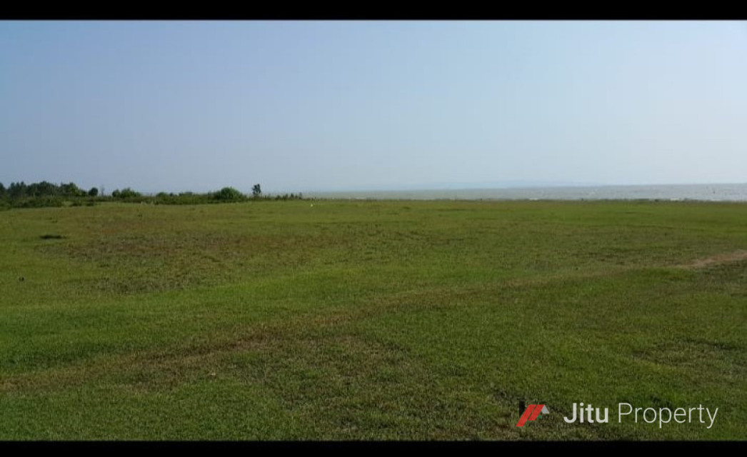 Dijual Tanah Premium Daerah Tanjung  Lesung - Banten