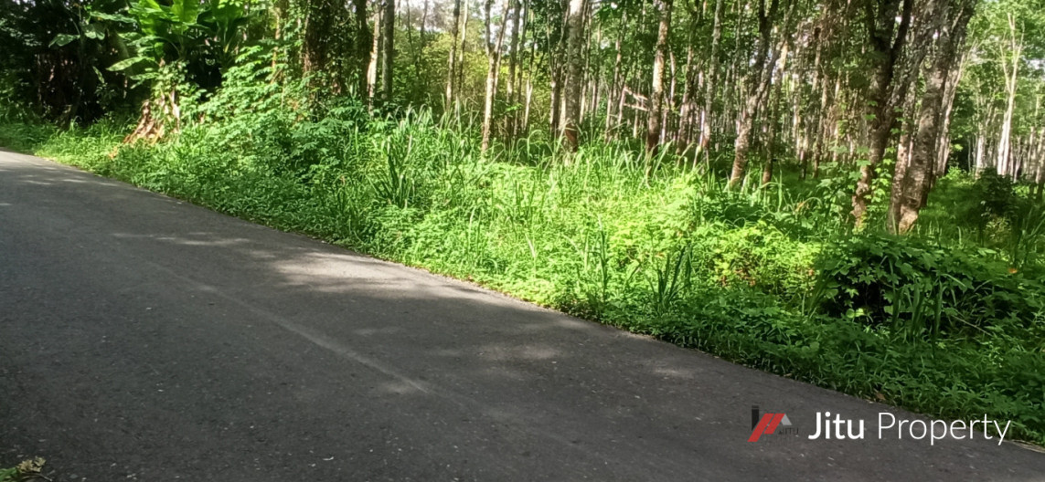 BU Jual Cepat Tanah 1,5 H Lokasi Strategis Di Sumatera Selatan