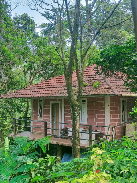 Villa Bukit Filadelfia Megamendung  Cipendawa - Bogor