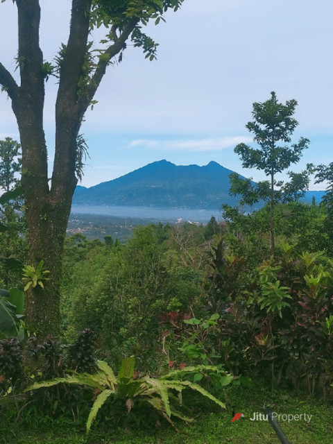 Villa Bukit Filadelfia Megamendung  Cipendawa - Bogor