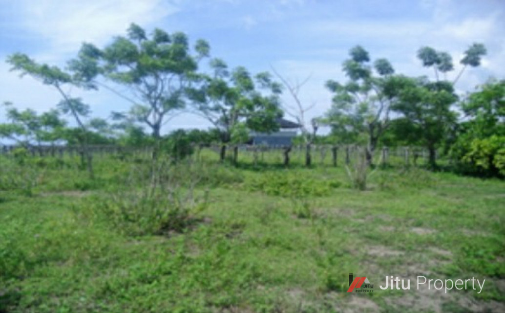 Dijual Tanah di tepi pantai, Katapiang, Batang Anai, Padang Pariaman