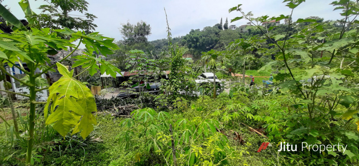 Dijual Tanah Hunian Siap Bangun Di Kampung Padi Dago Bandung