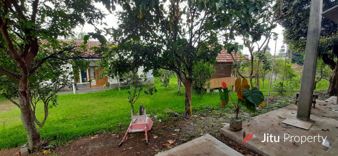 Dijual Rumah Dan Kolam Pemancingan Ikan Di Ciumbuleuit Bandung