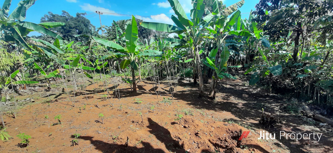Tanah Komersial Di Jalan Ir. H. Juanda Dago Bandung
