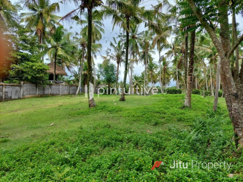 Dijual Tanah Selemadeg 100 Meter dari bibir pantai