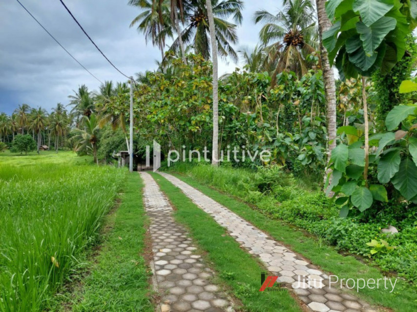 Dijual Tanah Selemadeg 100 Meter dari bibir pantai