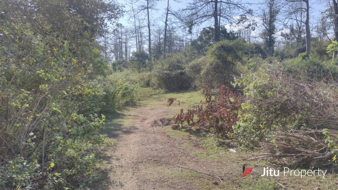 Dijual tanah cocok untuk Perhotelan dan Villa di Kuta Selatan Bali