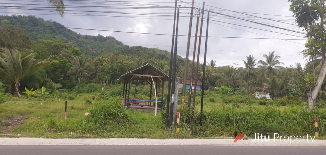 Dijual Tanah Strategis Jalan Nasional Padaherang Pangandaran