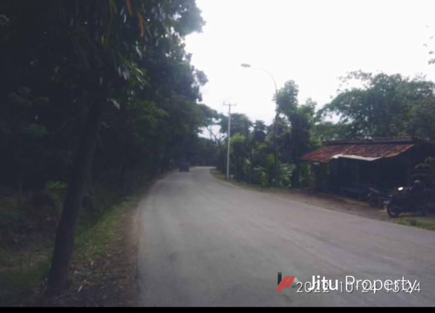 Dijual Tanah Tanjungsari Sirnarasa 5ha Kabupaten Bogor SHM