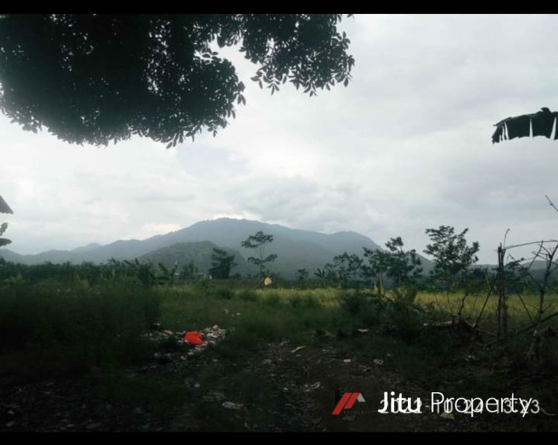 Dijual Tanah Tanjungsari Sirnarasa 5ha Kabupaten Bogor SHM