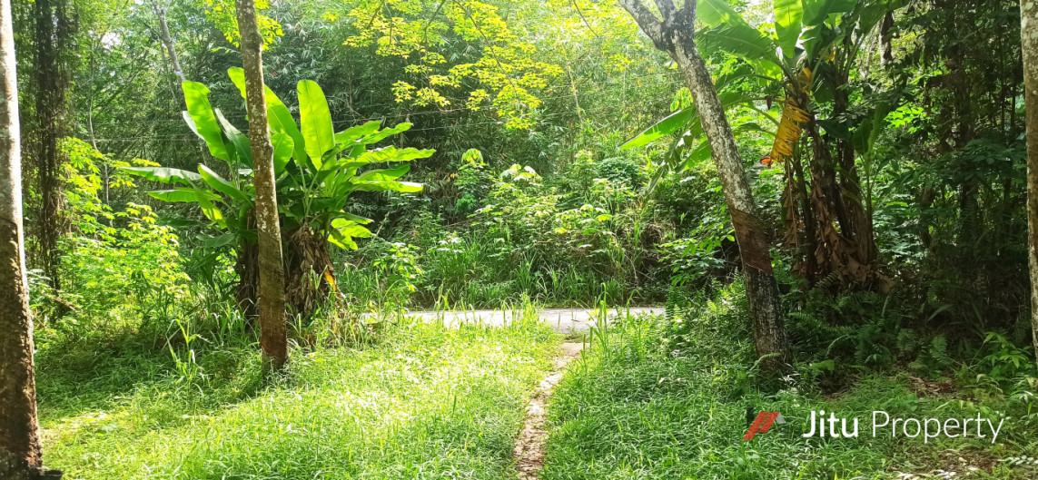 Dijual Cepat Tanah Kebon Karet 1,5 H di Sumatera Selatan