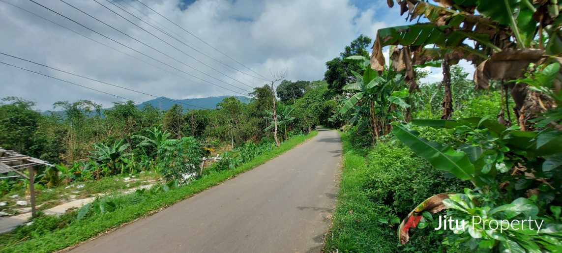 Dijual Tanah SHM Bogor Murah Pinggir Jalan Leuwiliang 