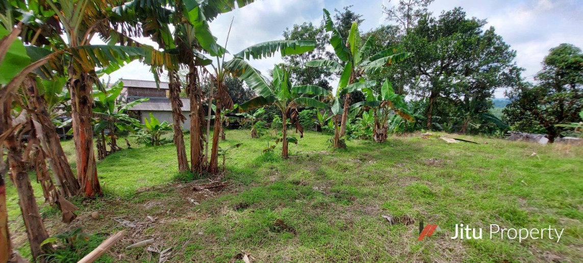 Dijual Tanah SHM Bogor Murah Pinggir Jalan Leuwiliang 