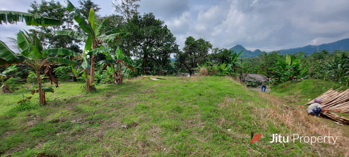 Dijual Tanah SHM Bogor Murah Pinggir Jalan Leuwiliang 