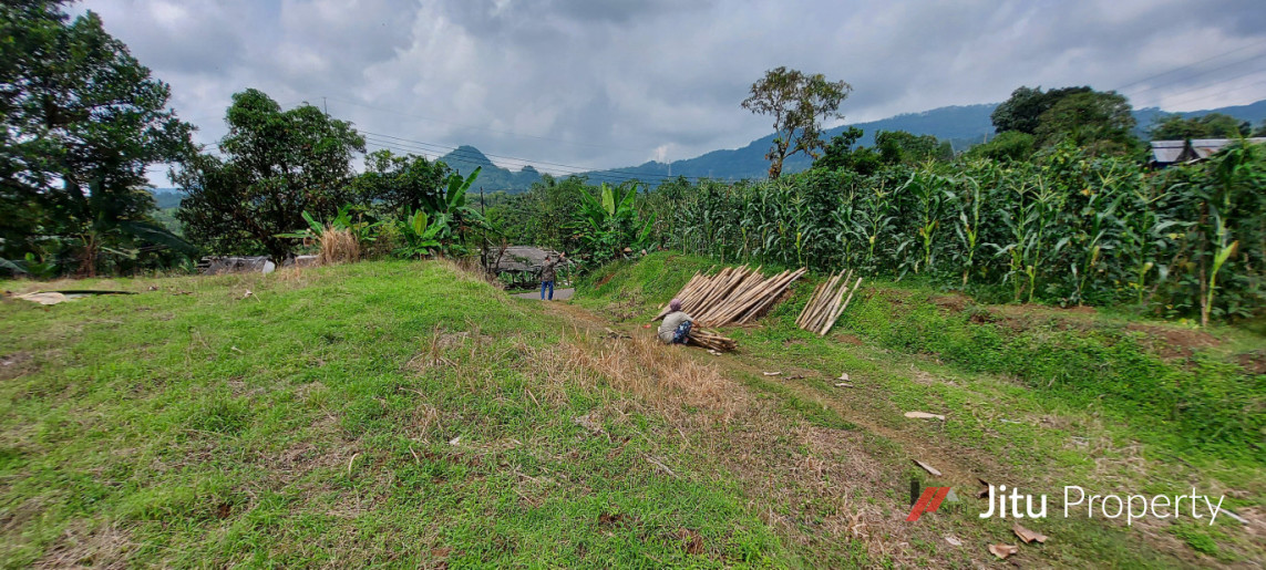 Dijual Tanah SHM Bogor Murah Pinggir Jalan Leuwiliang 