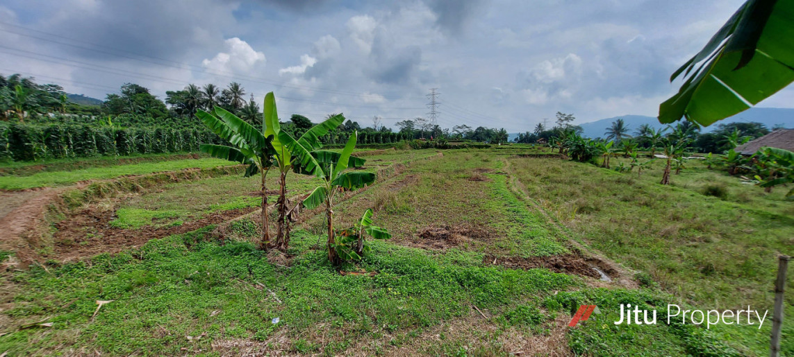 Dijual Tanah SHM Bogor Murah Pinggir Jalan Leuwiliang 
