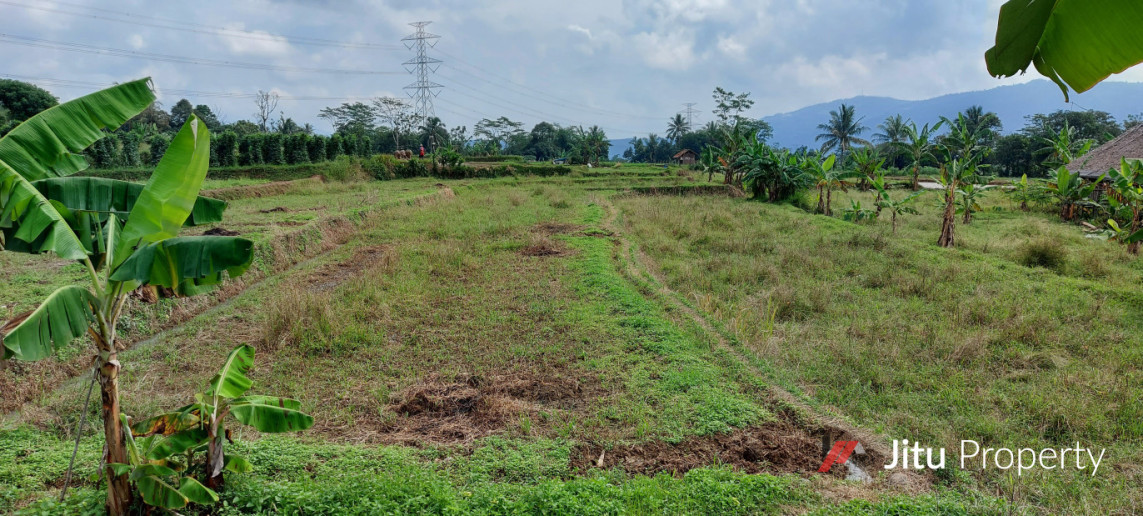 Dijual Tanah SHM Bogor Murah Pinggir Jalan Leuwiliang 