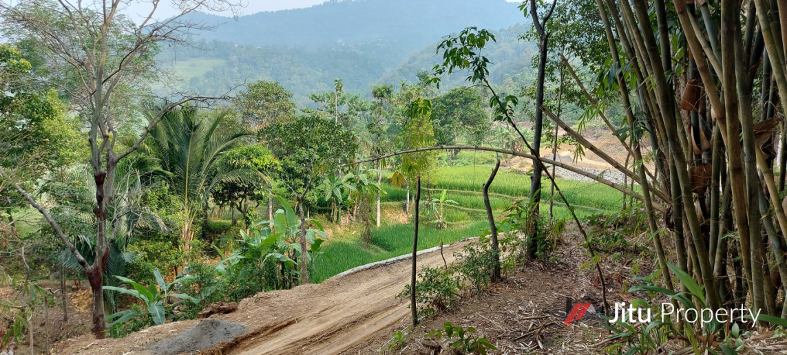 Dijual Lahan di Leuwisadeng Peruntukan Kandang Ayam Pedaging/Petelor 