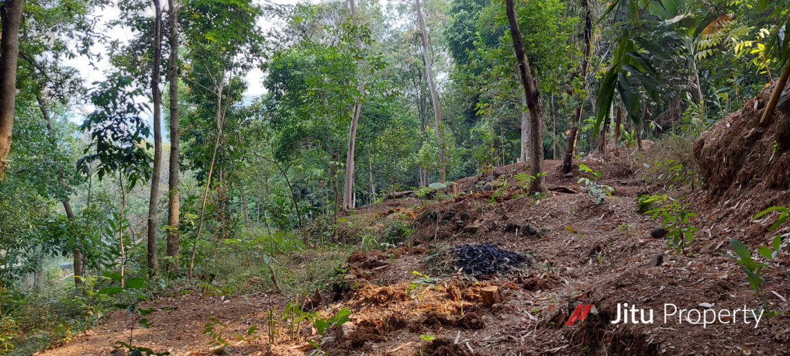 Dijual Lahan di Leuwisadeng Peruntukan Kandang Ayam Pedaging/Petelor 