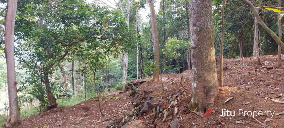 Dijual Lahan di Leuwisadeng Peruntukan Kandang Ayam Pedaging/Petelor 