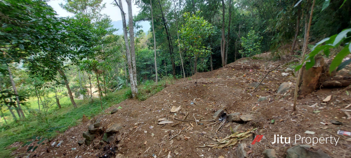 Dijual Lahan di Leuwisadeng Peruntukan Kandang Ayam Pedaging/Petelor 