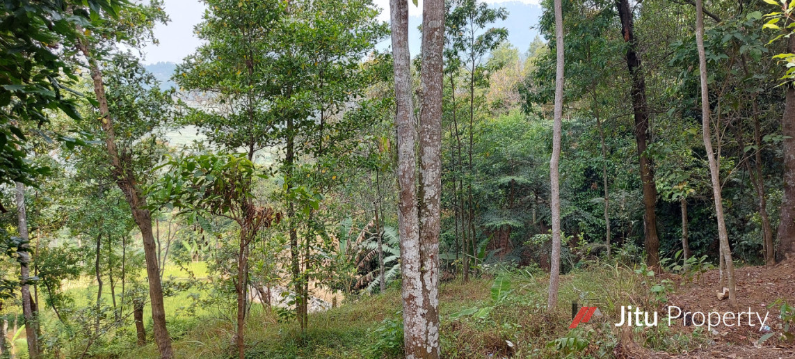 Dijual Lahan di Leuwisadeng Peruntukan Kandang Ayam Pedaging/Petelor 