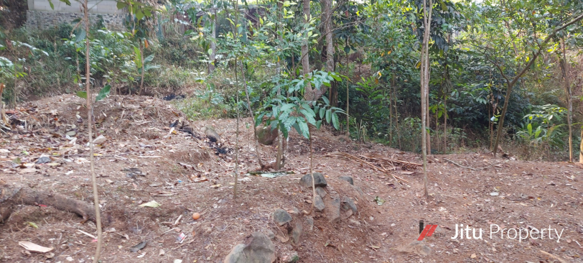 Dijual Lahan di Leuwisadeng Peruntukan Kandang Ayam Pedaging/Petelor 