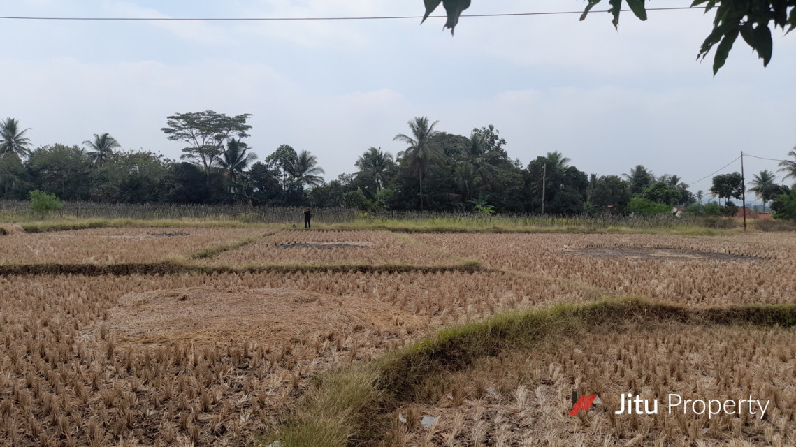 Dijual Tanah darat Jalan Raya Cianjur Karang Tengah Samolo Cianjur