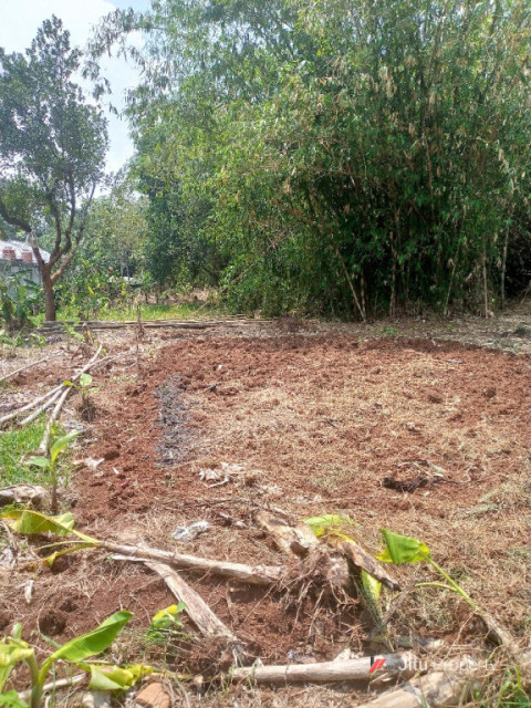 Dijual Lahan Murah 600 m2 Nempel Kavling BRI Kalibaru Depok