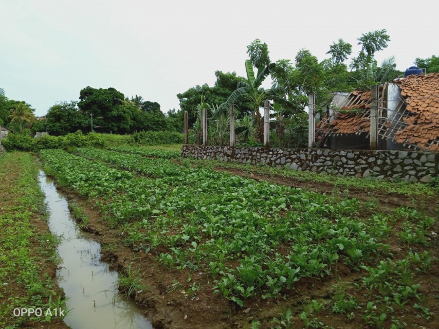 Dijual Tanah Di Desa Jatimulya Balaraja Kabupaten Tanggerang