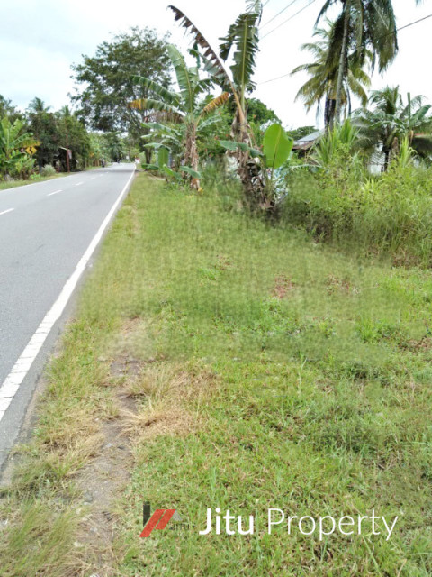 Dijual Tanah Luas Siap Bangun Usaha Mempawah Hilir Kalimantan Barat