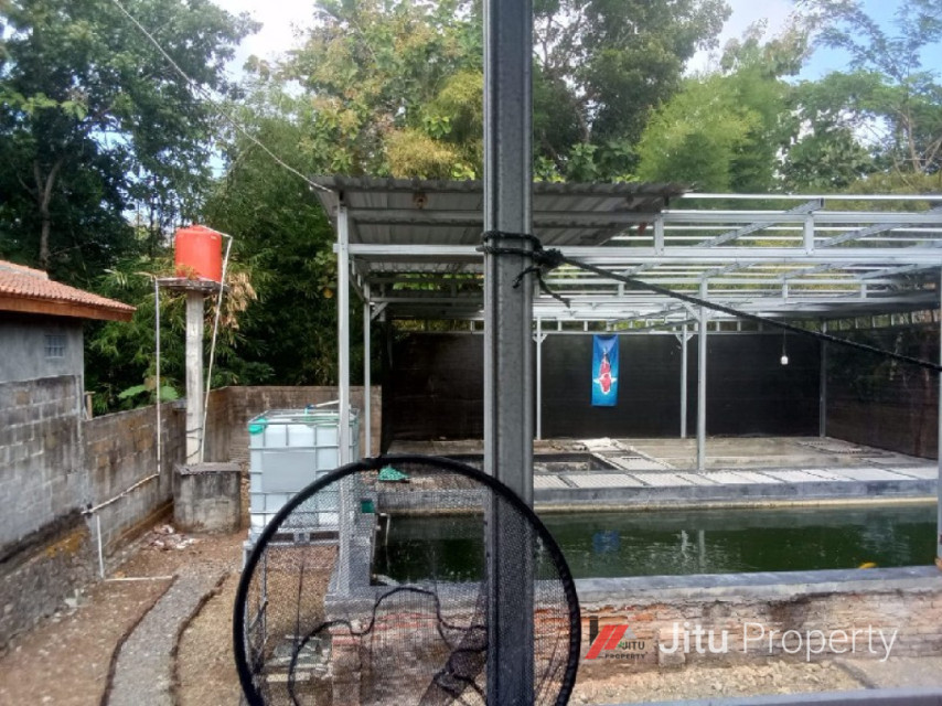 Dijual Tanah Rumah dan Kolam Kios di Bantul Yogyakarta SHM