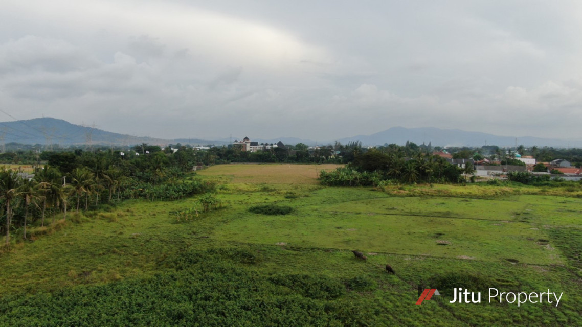 Dijual Tanah di Cilegon Serang Banten 7 Ha Dkt Pintu Tol Cilegon Timur