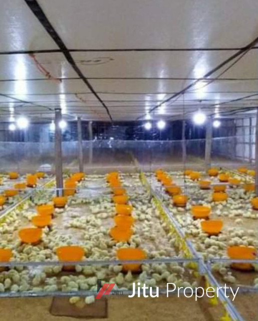 Dijual Lahan dan Bangunan Kandang Ayam Cilamaya Karawang
