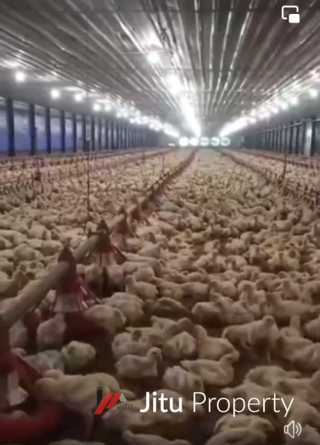 Dijual Lahan dan Bangunan Kandang Ayam Cilamaya Karawang