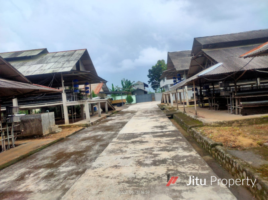 Disewakan Lahan Kandang Ayam Lengkap Rumpin Kabupaten Bogor
