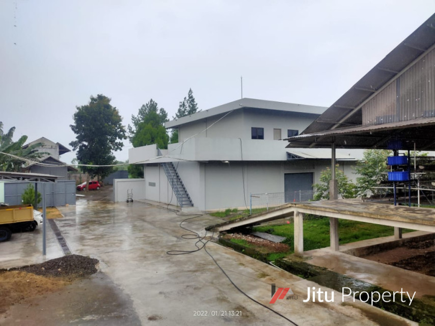 Disewakan Lahan Kandang Ayam Lengkap Rumpin Kabupaten Bogor