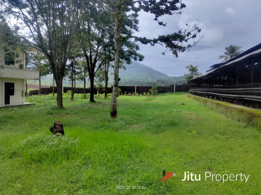 Disewakan Lahan Kandang Ayam Lengkap Rumpin Kabupaten Bogor