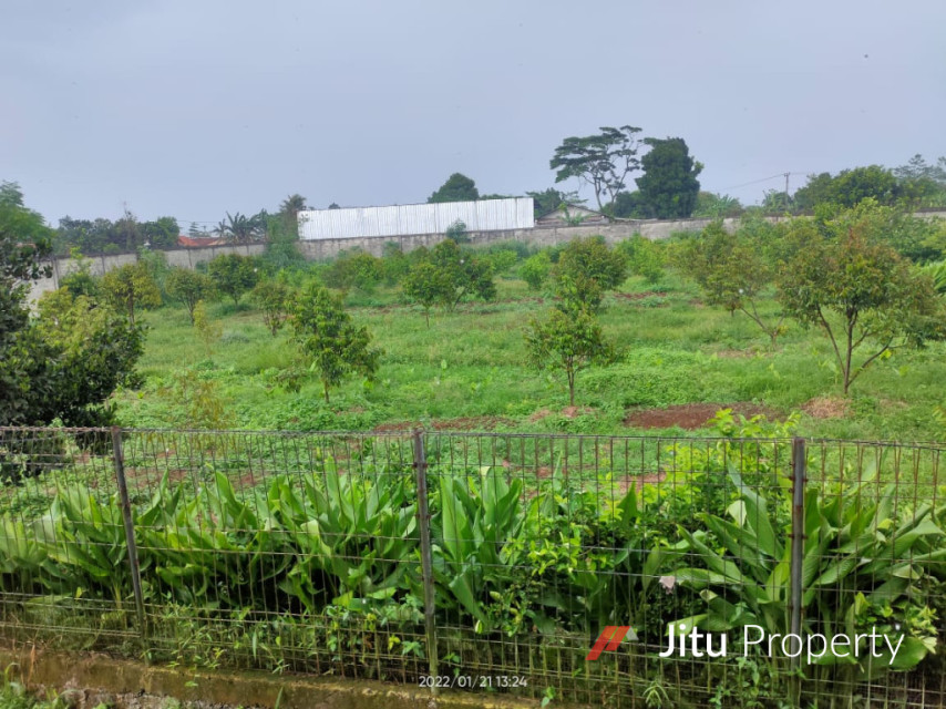 Disewakan Lahan Kandang Ayam Lengkap Rumpin Kabupaten Bogor