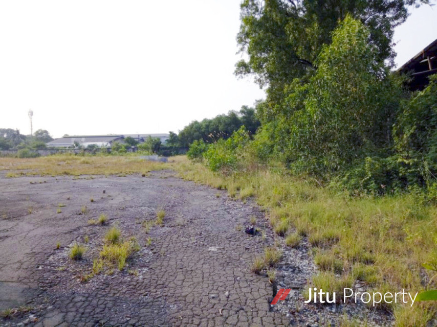 Disewakan Tanah di Marunda 1 Ha Dekat Pelabuhan Marunda Siap Pakai