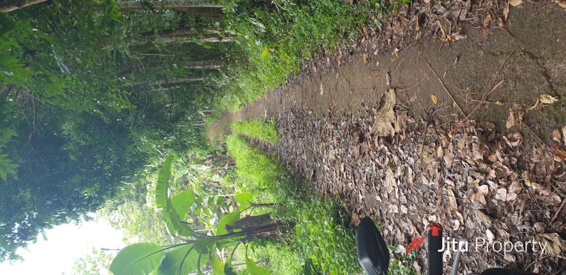 Jual Tanah Kebun Luas Di Sukatali Situraja Sumedang