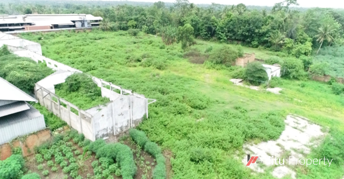 Termurah Disewakan Tanah di Jalan Lintas Sumatera Natar Lampung 2.2 Ha