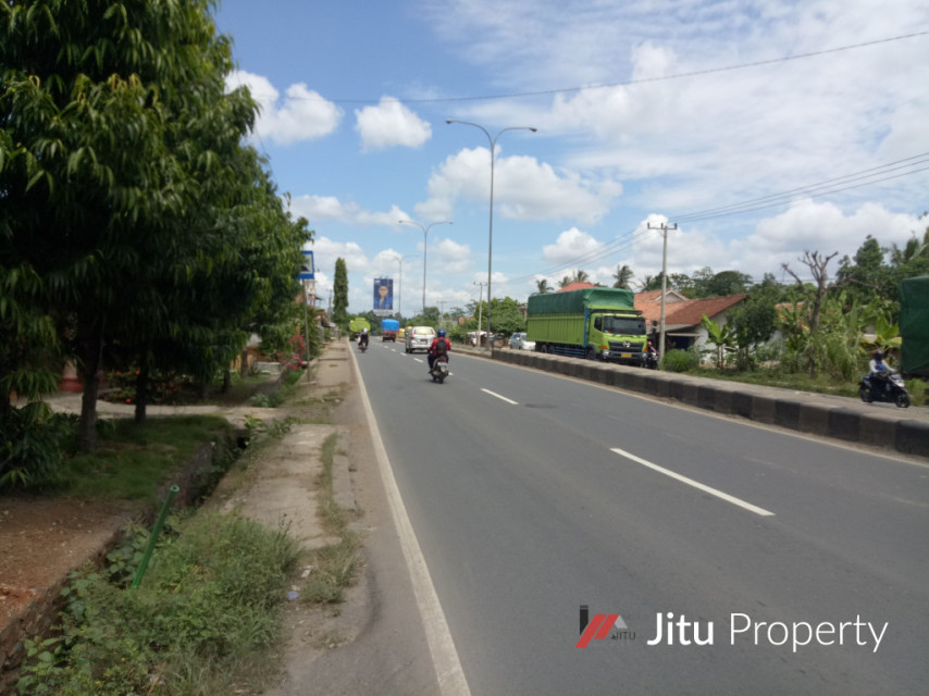 Termurah Disewakan Tanah di Jalan Lintas Sumatera Natar Lampung 2.2 Ha