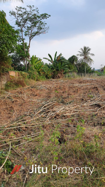 Termurah Disewakan Tanah di Jalan Lintas Sumatera Natar Lampung 2.2 Ha