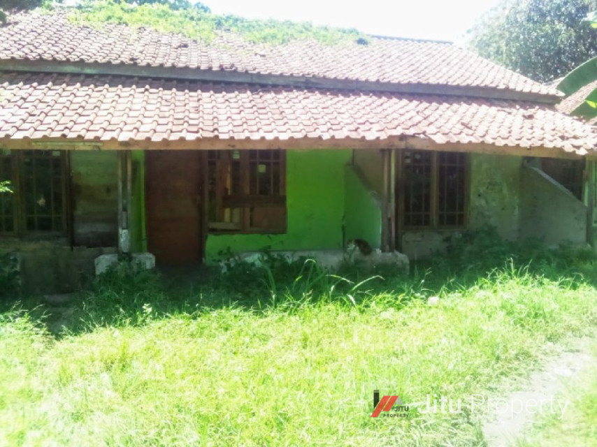 Disewakan Ruang Usaha jalur hidup Cocok Buat Kuliner Bagus bogor